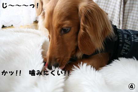 東矢くんと摩耶さん4