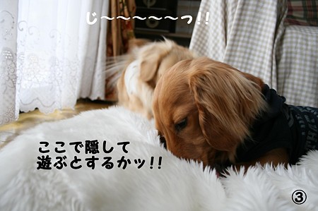 東矢くんと摩耶さん3