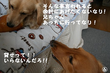 おNEWおもちゃ 6
