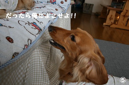 おNEWおもちゃ 5