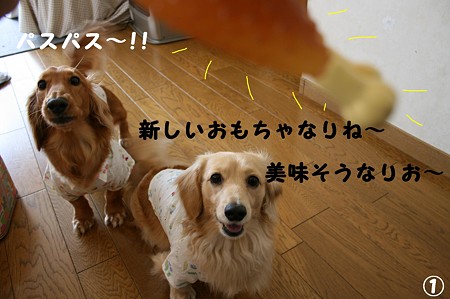おNEWおもちゃ 1
