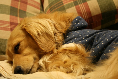 ZZZZZ1