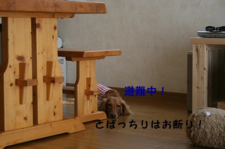 とばっちりお断り!
