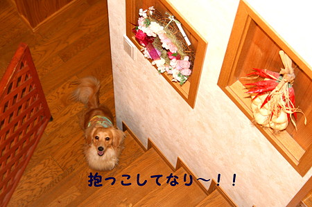 摩耶7
