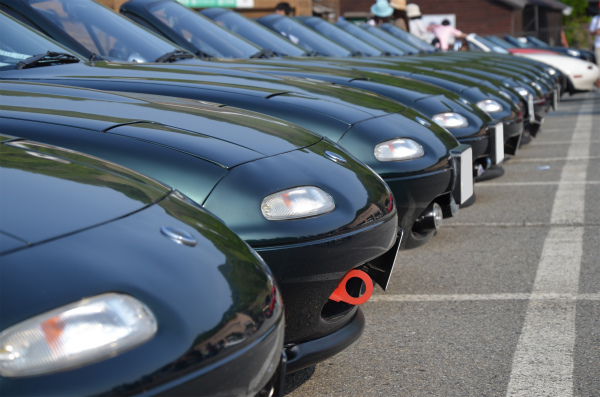 同じ限定車なのに個性的なノーズが並ぶ