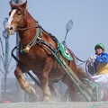 Photos: ゴールドランサと西将太騎手