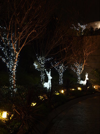 20081216_01