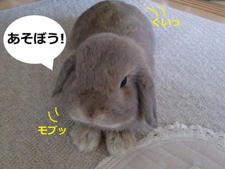 遊ぼう1