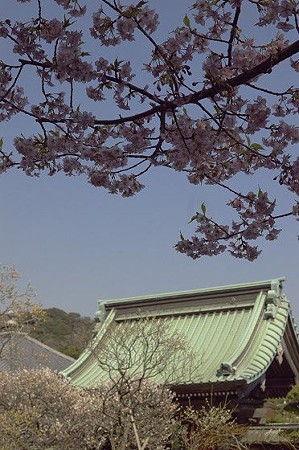 長谷寺 04