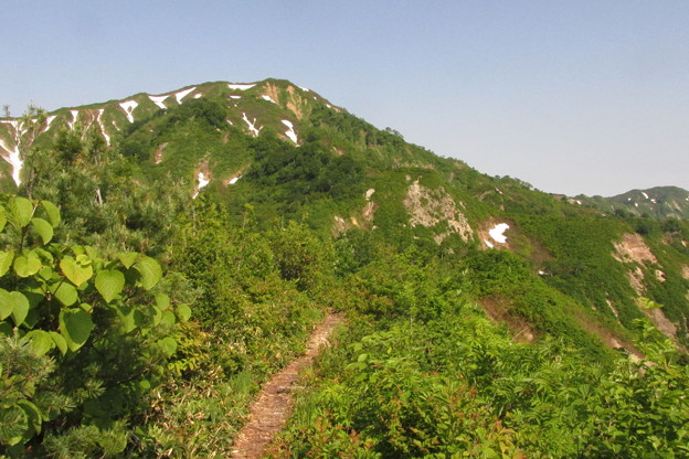 DPP0831_0046