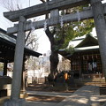 2014-03-24 花園神社、西向天神社