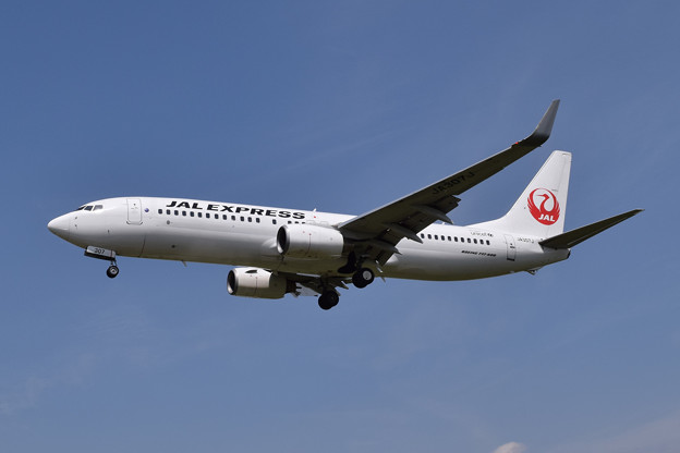 大阪空港で撮りました JAL 737-800